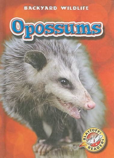 opossums blastoff readers backyard wildlife blastoff readers level 1 Reader